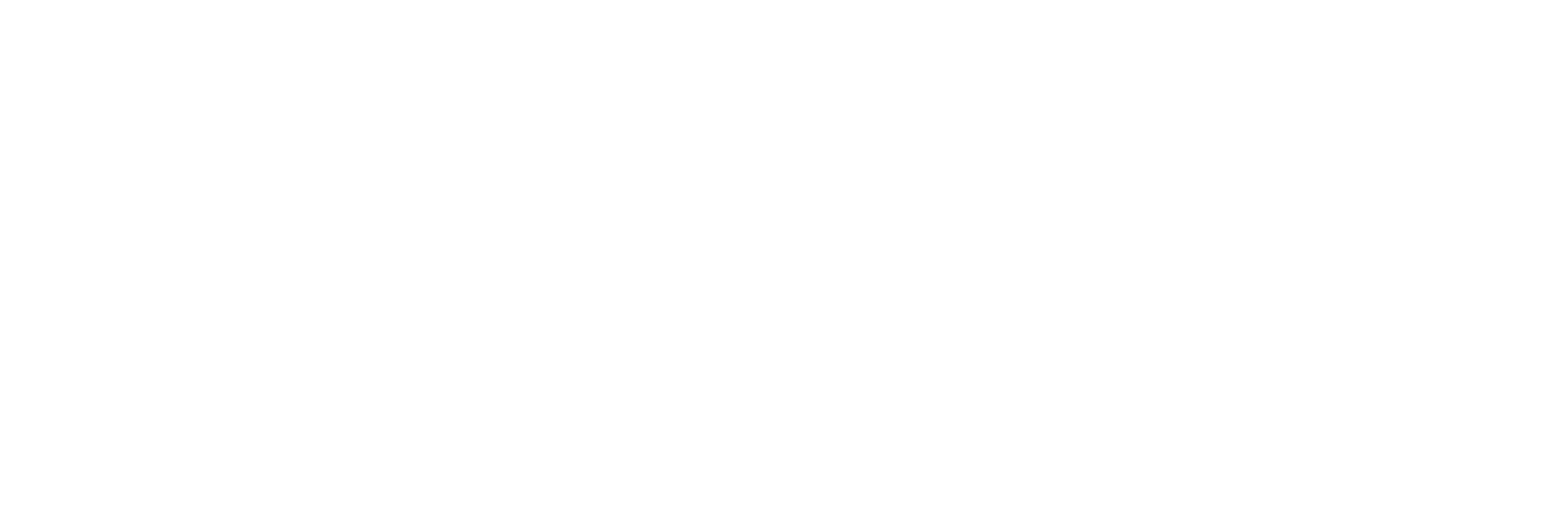 Designi Logo